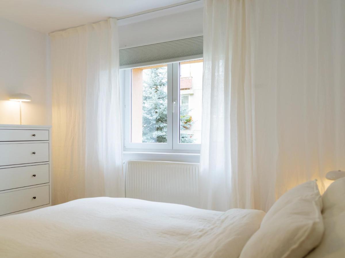 Cozy Central Apartment Near The Forest Brasov Ngoại thất bức ảnh