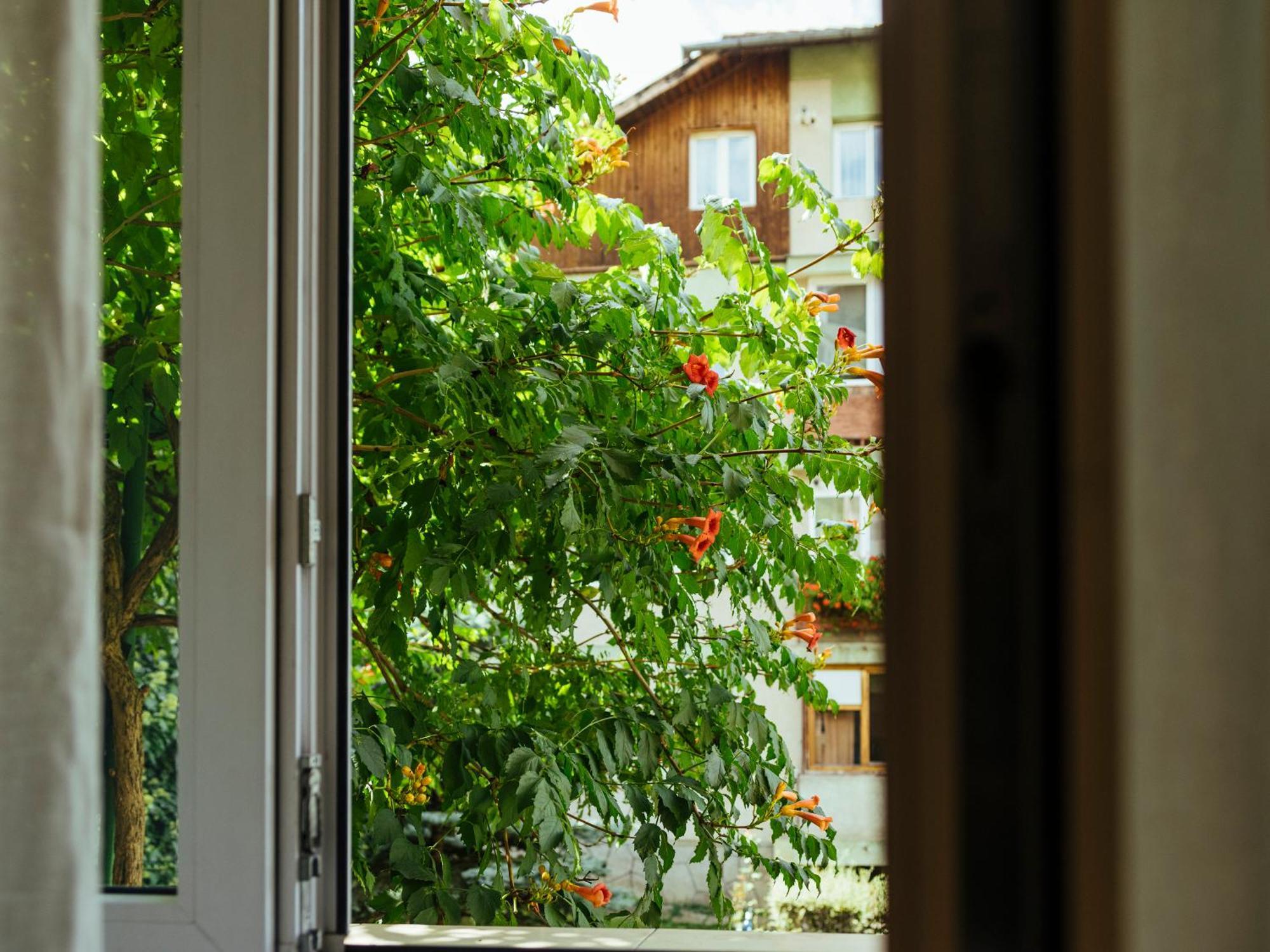 Cozy Central Apartment Near The Forest Brasov Ngoại thất bức ảnh