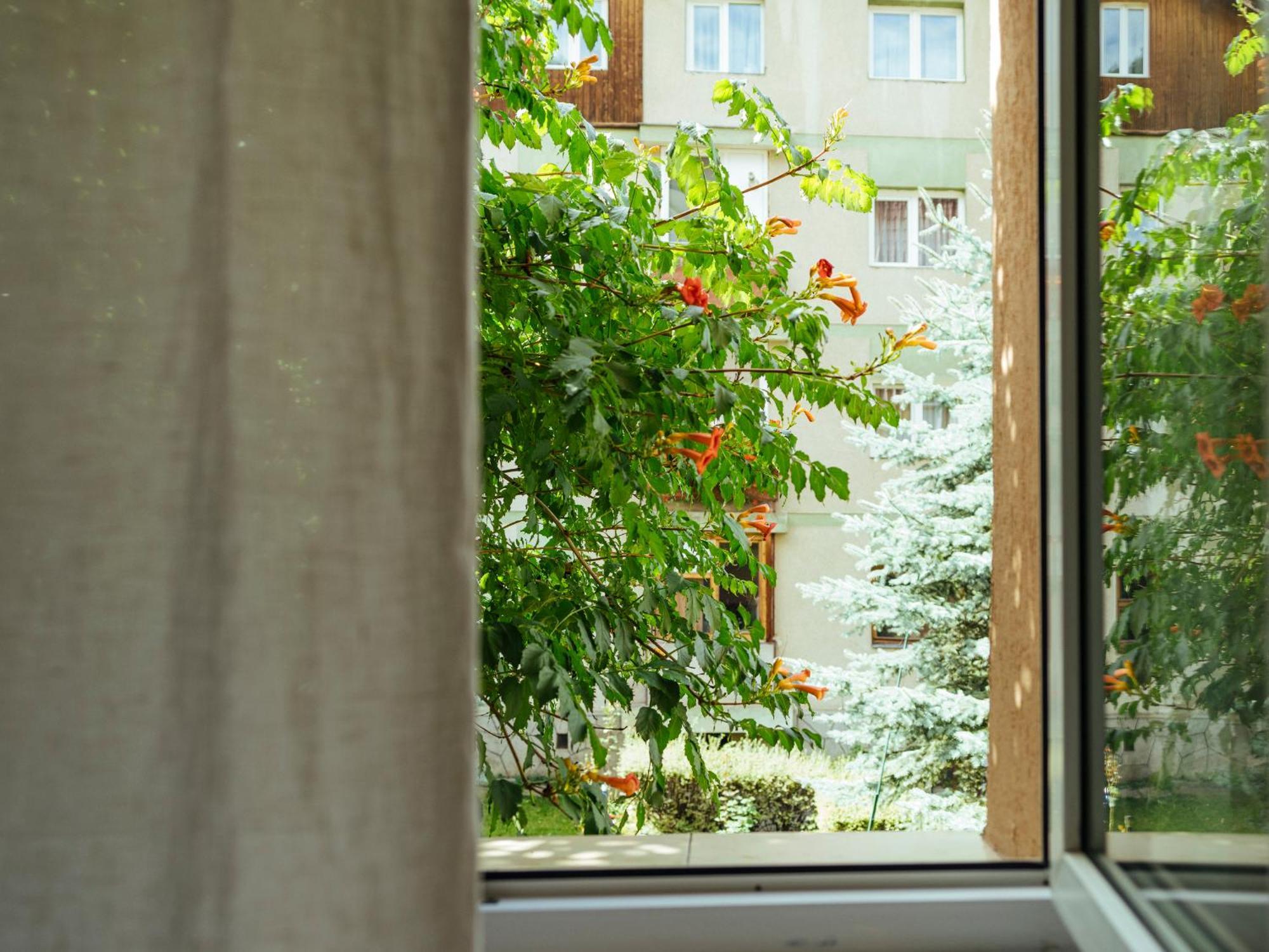 Cozy Central Apartment Near The Forest Brasov Ngoại thất bức ảnh