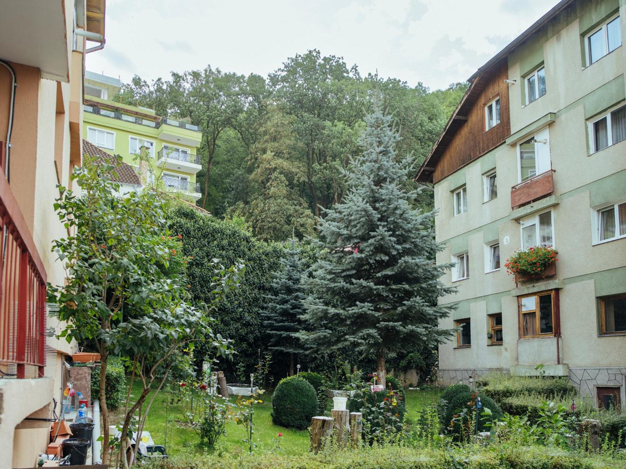 Cozy Central Apartment Near The Forest Brasov Ngoại thất bức ảnh