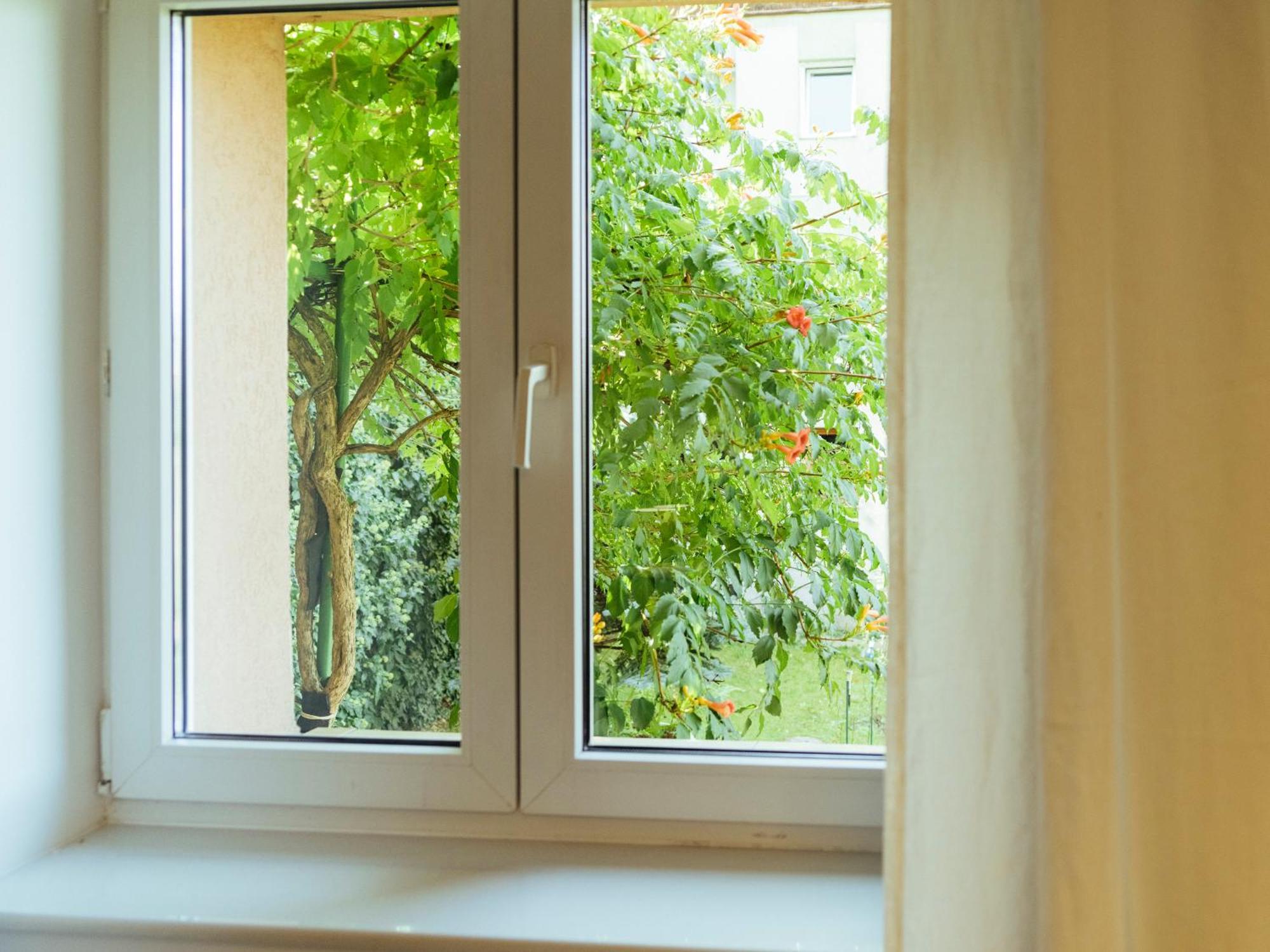 Cozy Central Apartment Near The Forest Brasov Ngoại thất bức ảnh
